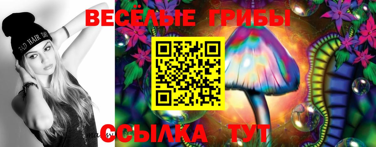 Галлюциногенные грибы GOLDEN TEACHER  Вход с VPN  Новозыбков 