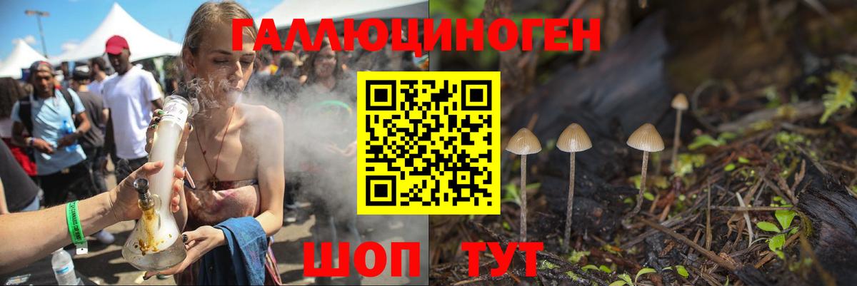 Псилоцибиновые грибы мухоморы Новозыбков